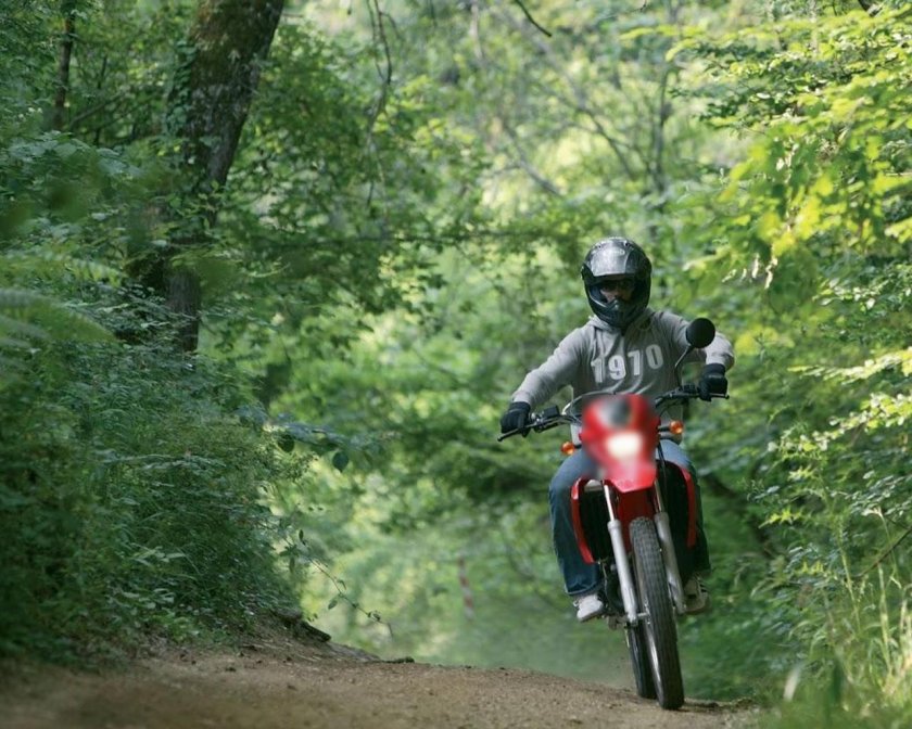 Мотоцикл в лесу