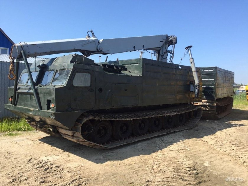 Витязь ДТ-30п