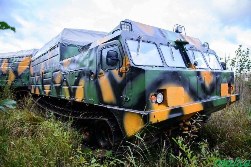 Болотоход Витязь ДТ-30п