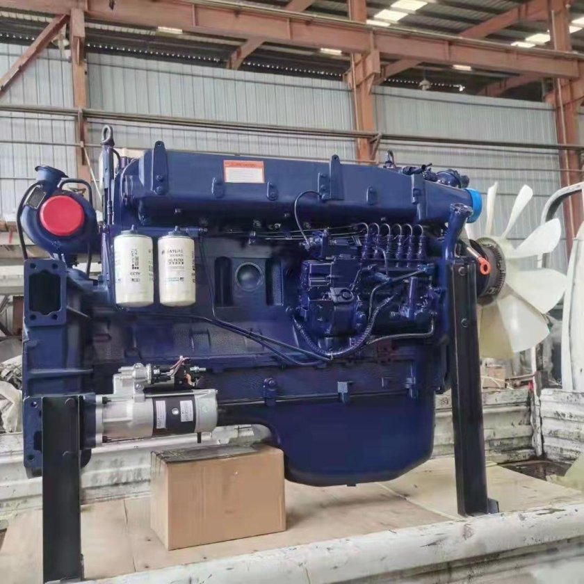 Шакман с wp12