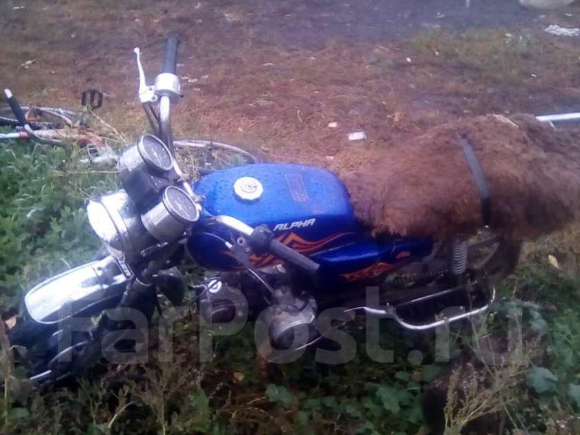 Мопед Альфа Сабур