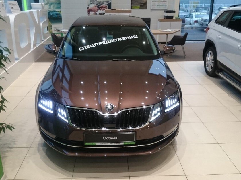 Skoda Octavia a7 Brown