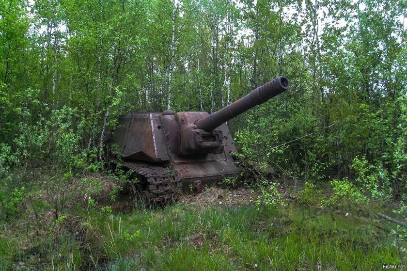 ИСУ-152 зверобой