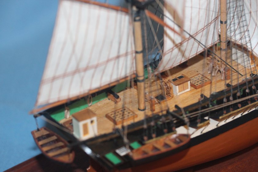 Шхуна ласточка эскадра