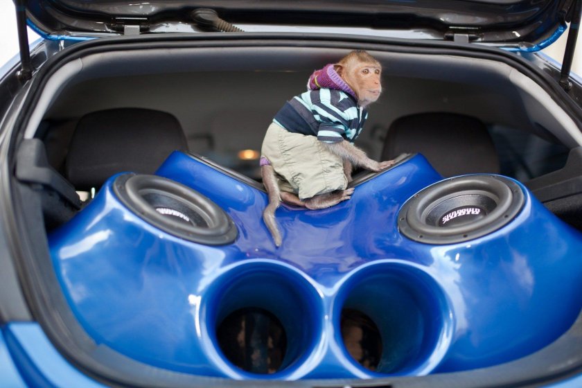 Машина с автозвуком