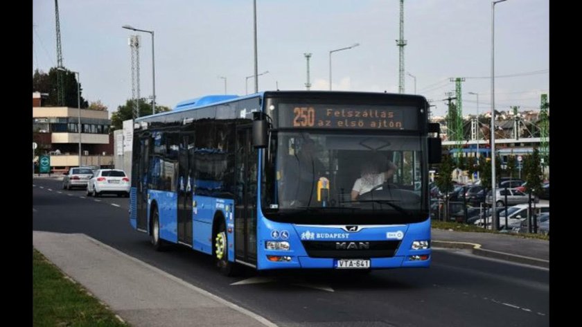 Пассажирские автобусы