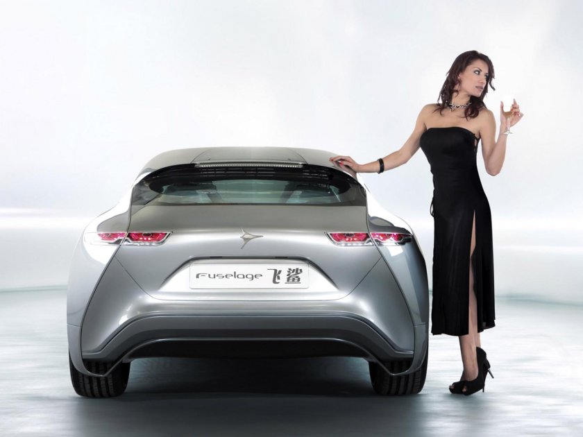 Icona pictura модель