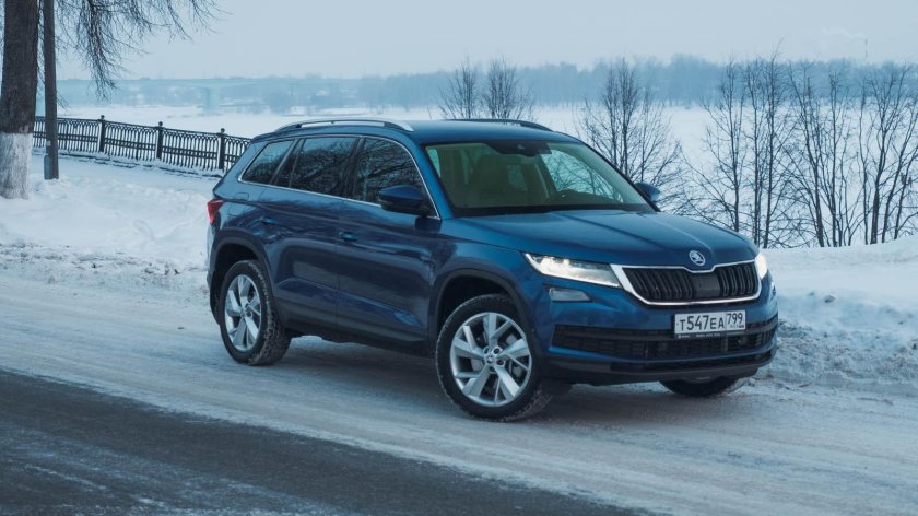 Шкода медведь