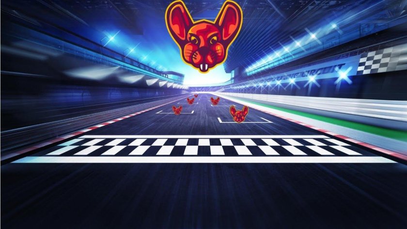 Гоночный фон