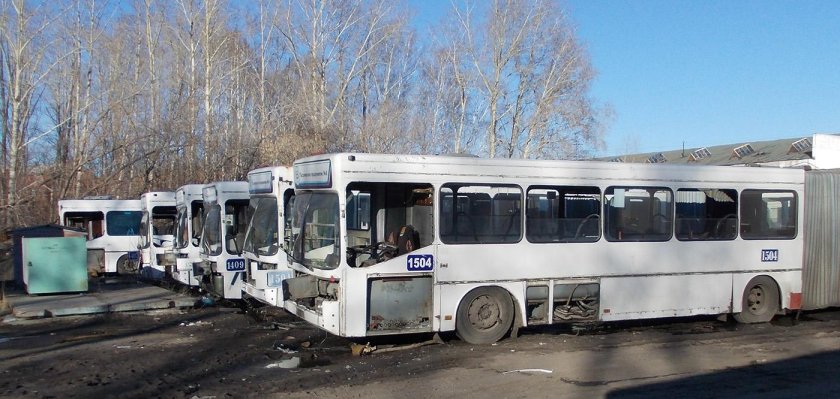 Автобус ГОЛАЗ ака 6226