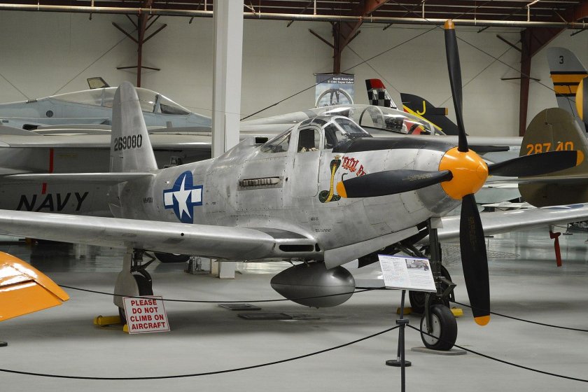 P-63 kingcobra