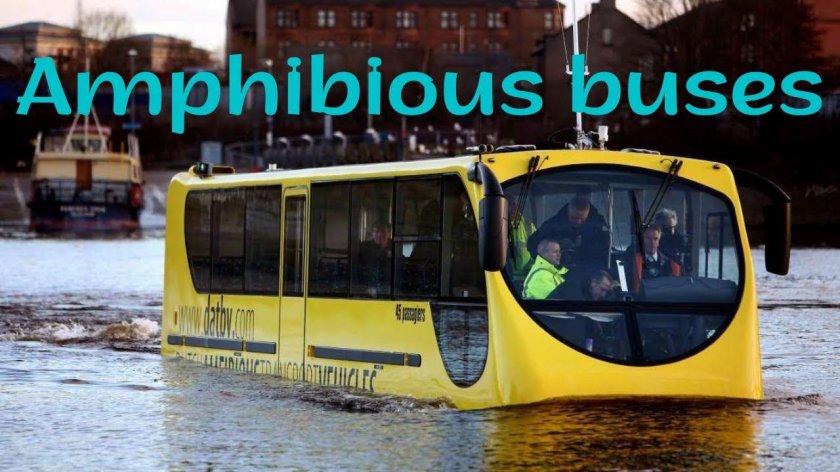 Амфибиус Нидерланды