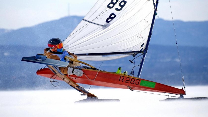 Соревнование по парусному спорту