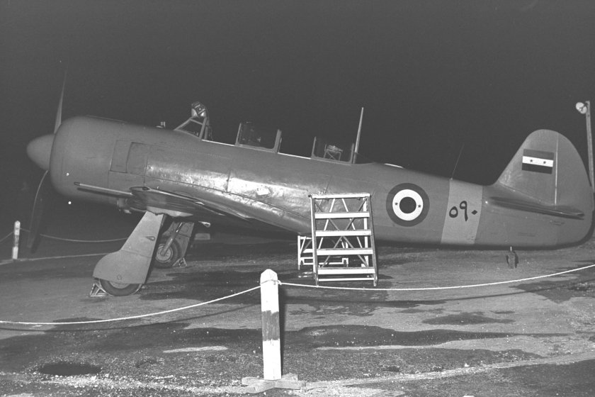 Яковлев як-11