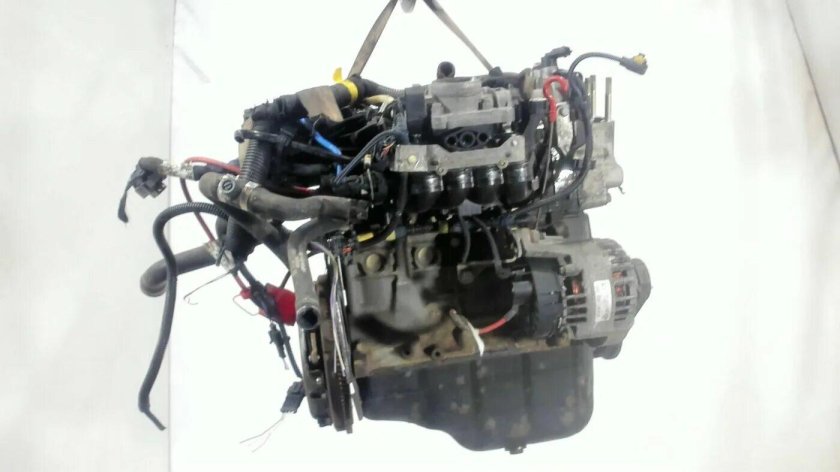 Фиат Панда где номер двигателя