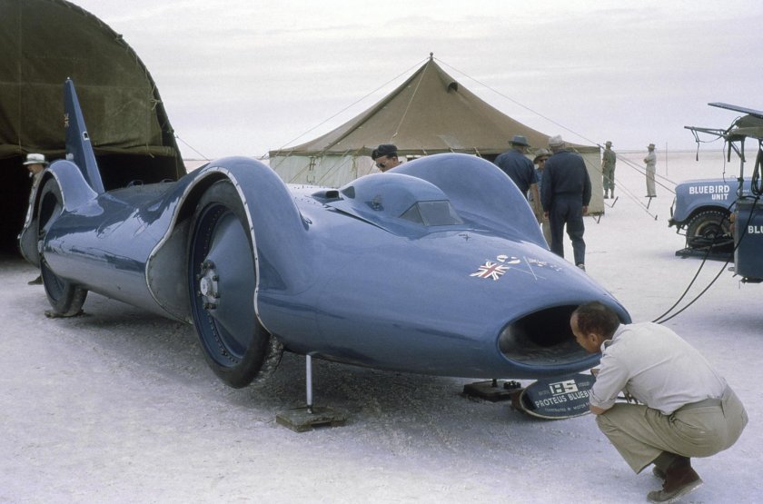 Bluebird cn7 car