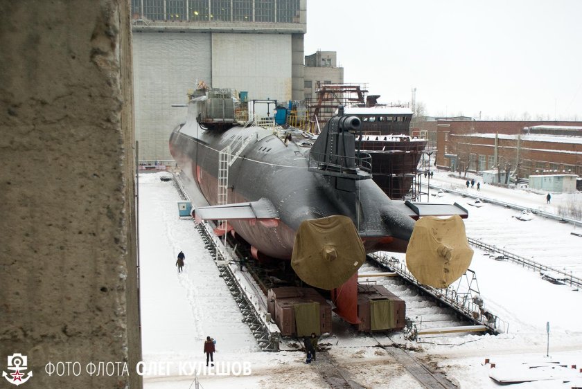 667бдрм «Дельфин»