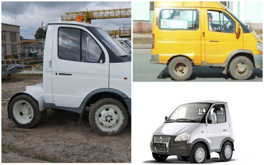 Газель коротыш