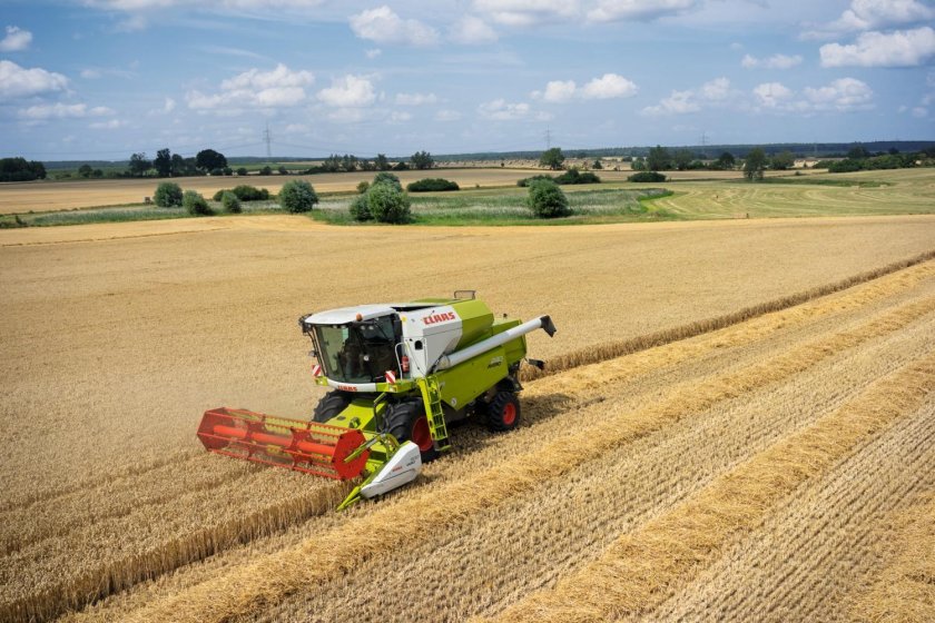 Комбайн Клаас Тукано 580 уборка подсолнечника