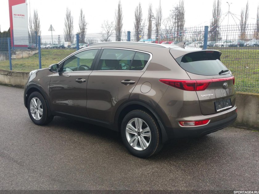 Цвет Sportage 5