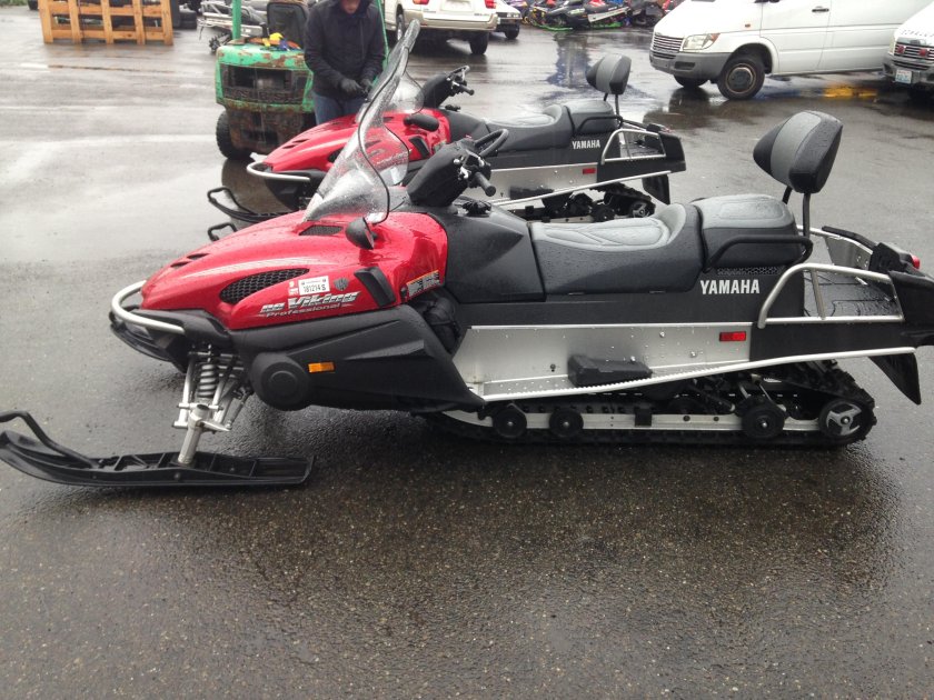 Yamaha Viking professional 2