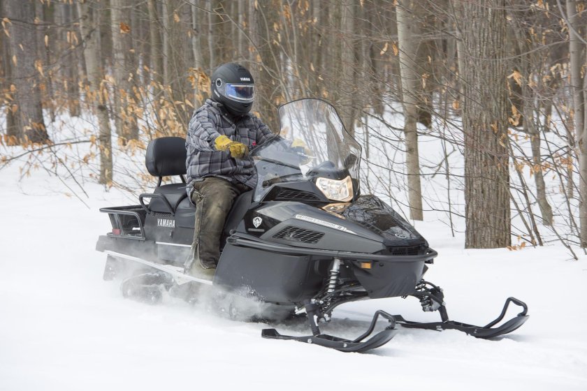 Ямаха Викинг профессионал 2