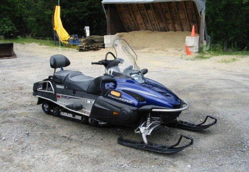 Yamaha RS Viking professional