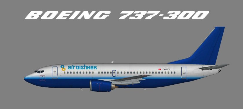 Boeing 737 300-900