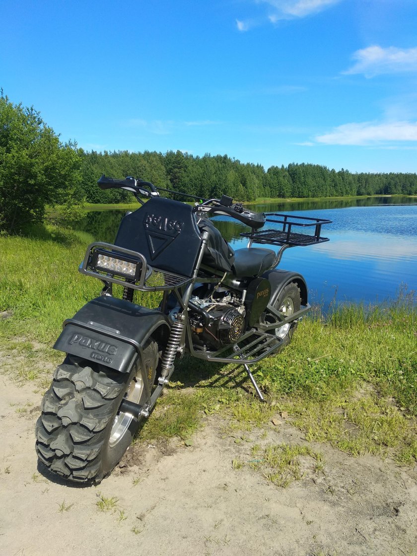 Лесной кот мотовездеход