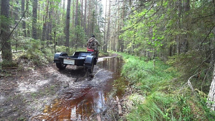 Сплав по реке