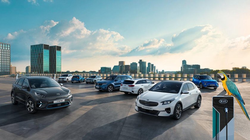 Тойота Королла и Киа Рио