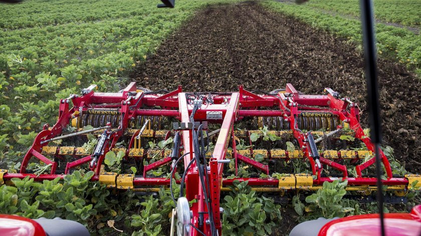 Вадерштад Кариер