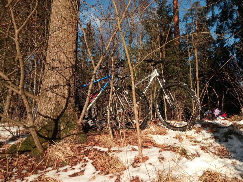 Велик Весна