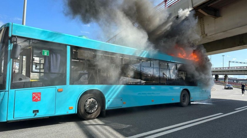 Автобус МАЗ Лазурный