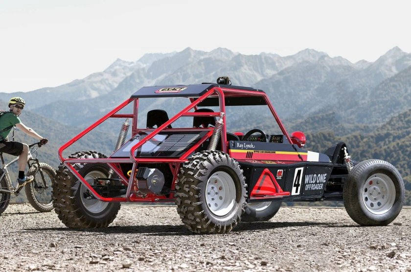 Багги Тамия