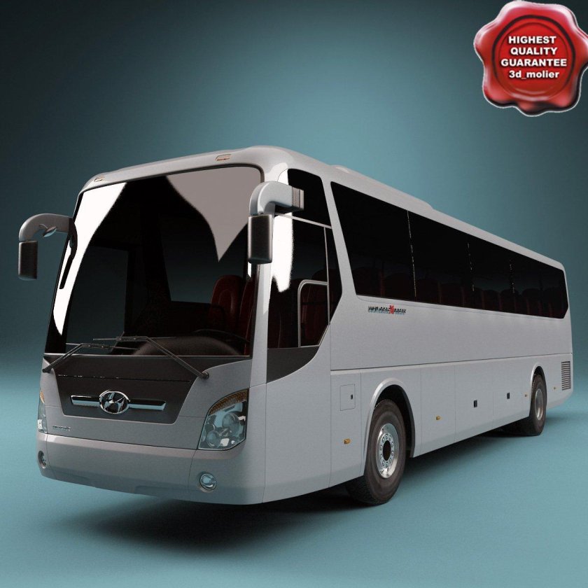 Hyundai Universe 2021