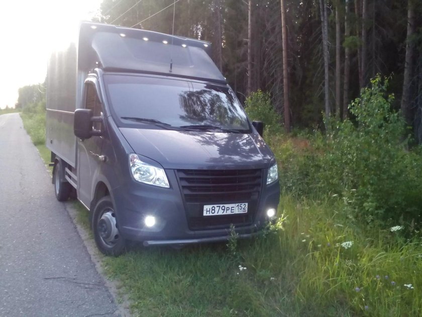 Реснички на Газель Некст