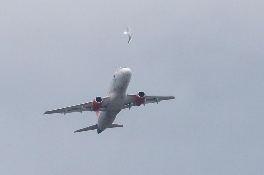 Самолеты авиакомпании