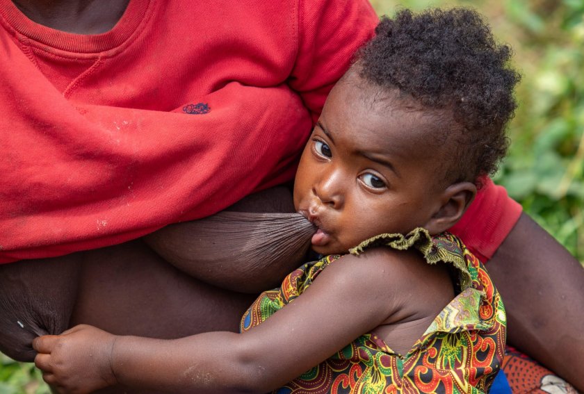 Демократическая Республика Конго