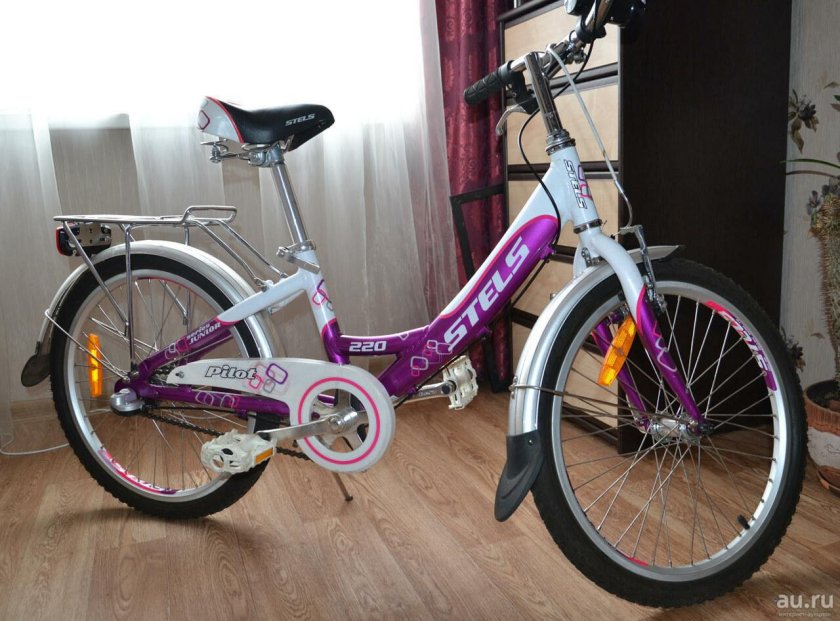 Стелс пилот 220