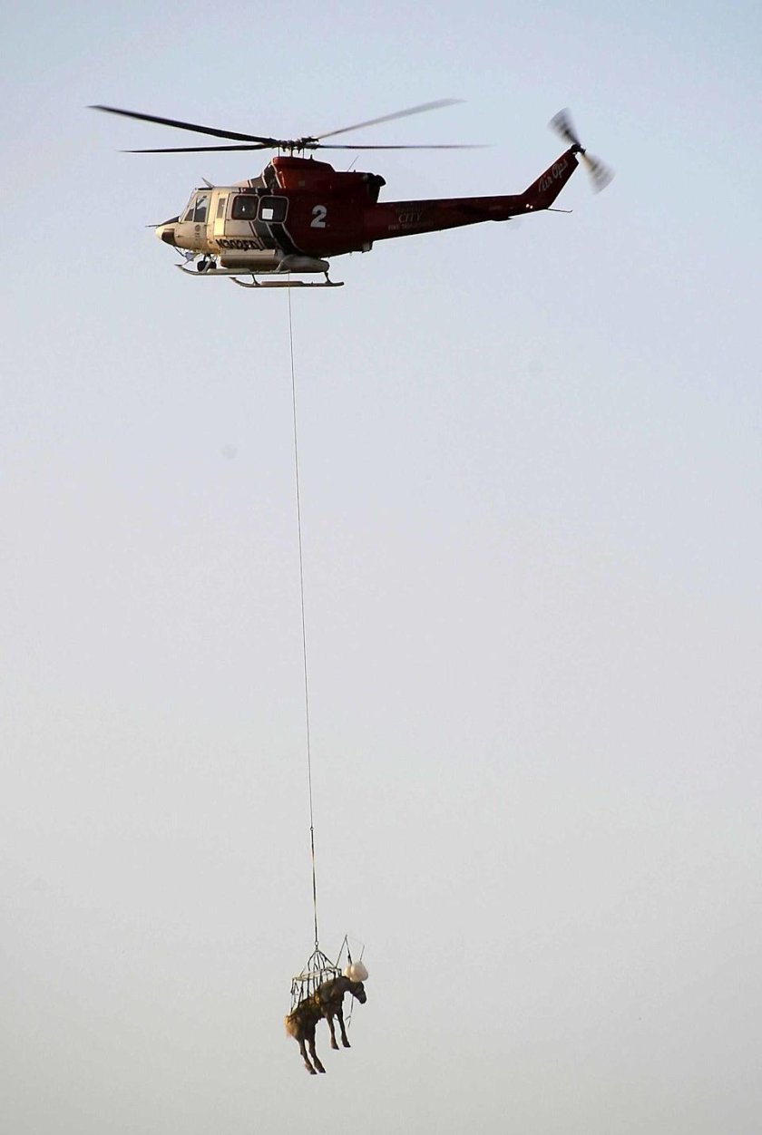 Мимино вертолет