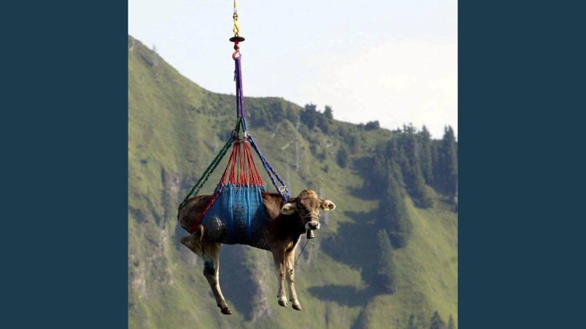 Зарбазан Мимино