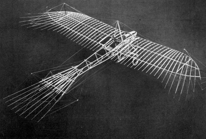 Архит Тарентский голубь