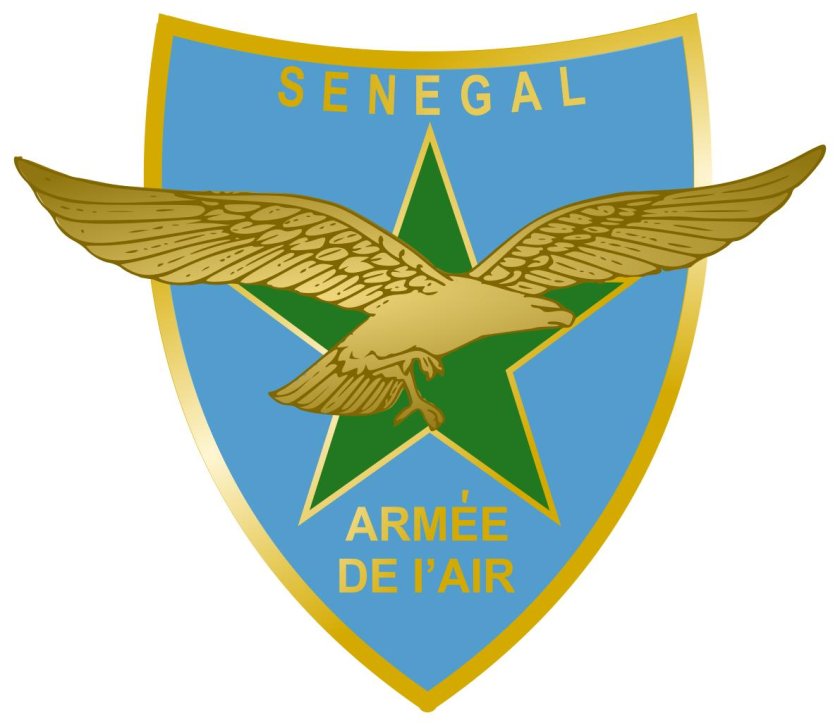 Военно-воздушные силы эмблема