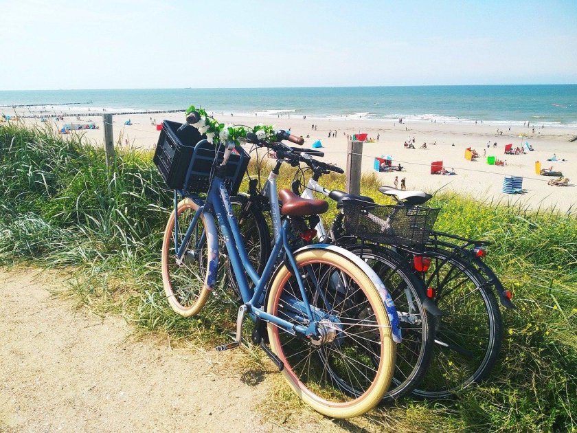 Велосипед Бич экономики