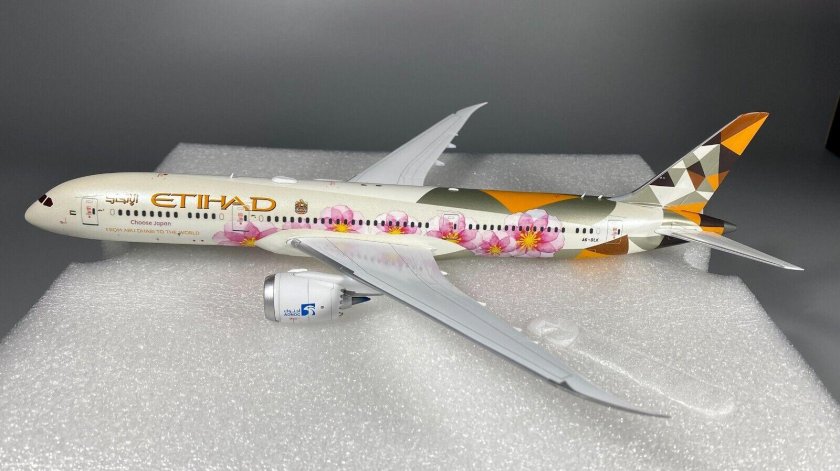 Boeing 787 10 etihad