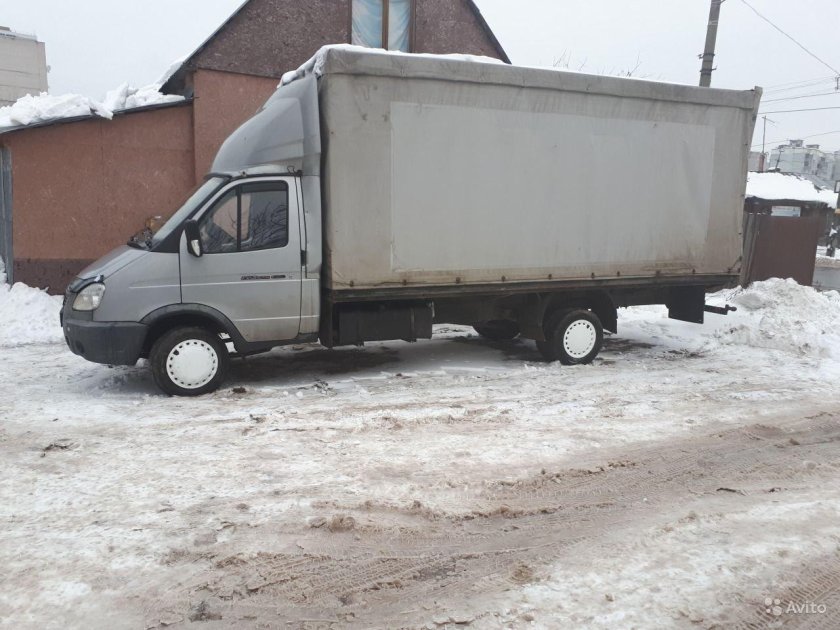 Газель фермер длиномер