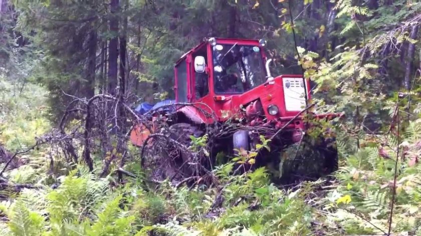 Трактор т-40. Для. Леса