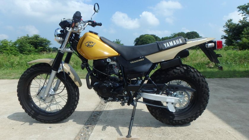 Yamaha tw200
