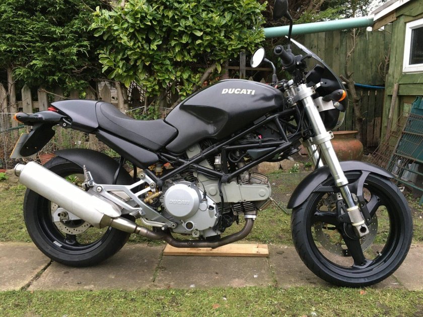 Ducati monster
